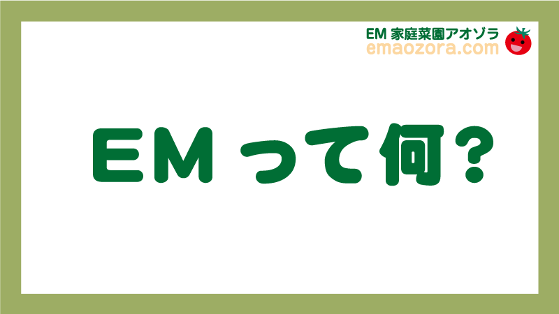 EMって何？