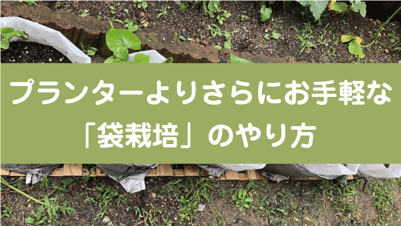 プランターよりさらにお手軽な「袋栽培」のやり方
