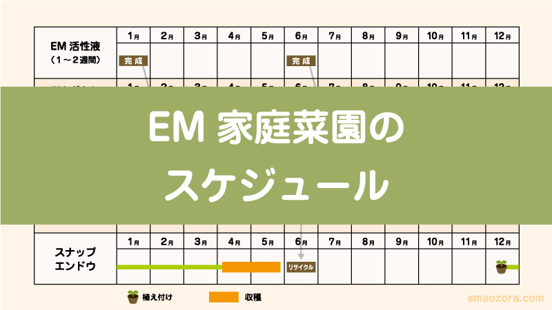 EM家庭菜園のスケジュール