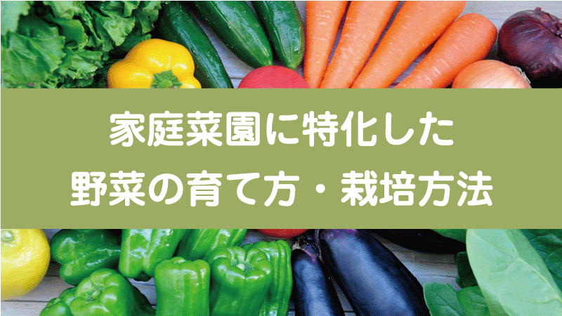 家庭菜園に特化した野菜の育て方・栽培方法