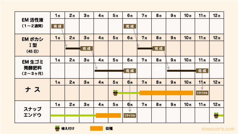 EM家庭菜園スケジュール