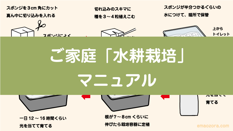 ご家庭「水耕栽培」マニュアル