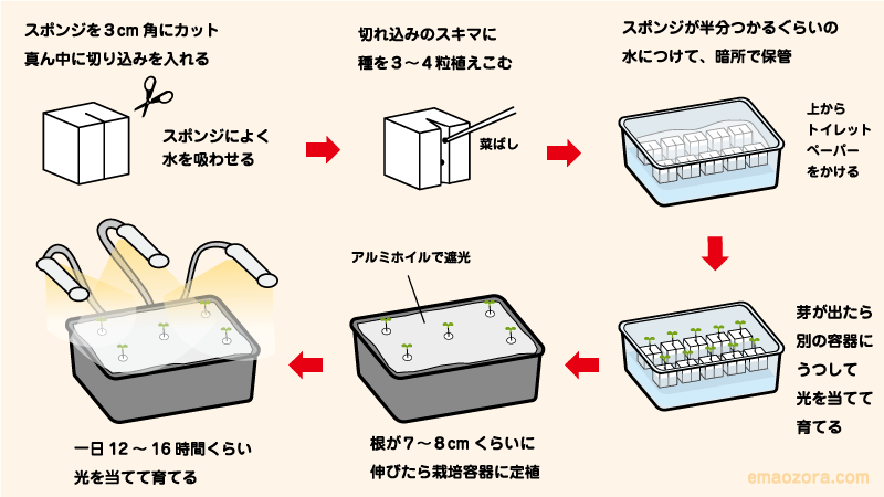 水耕栽培マニュアル