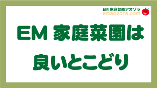 EM家庭菜園は良いとこどり